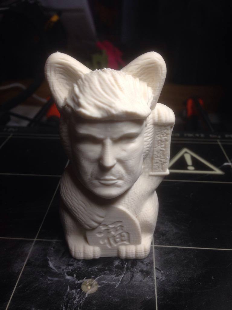 'Kočka Trump: Zábavná kočka a socha Trumpa'