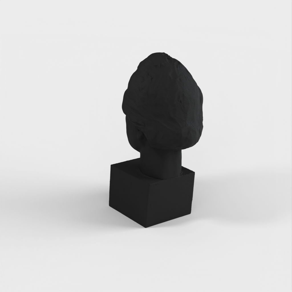3D sken busty Alberta Einsteina - bronzová socha pro tisk