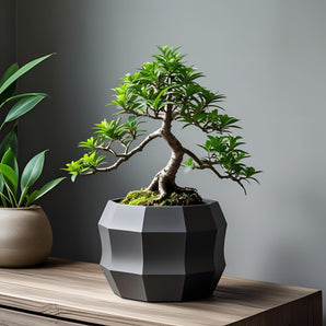 Moderne decagonal blomsterkrukke i minimalistisk design