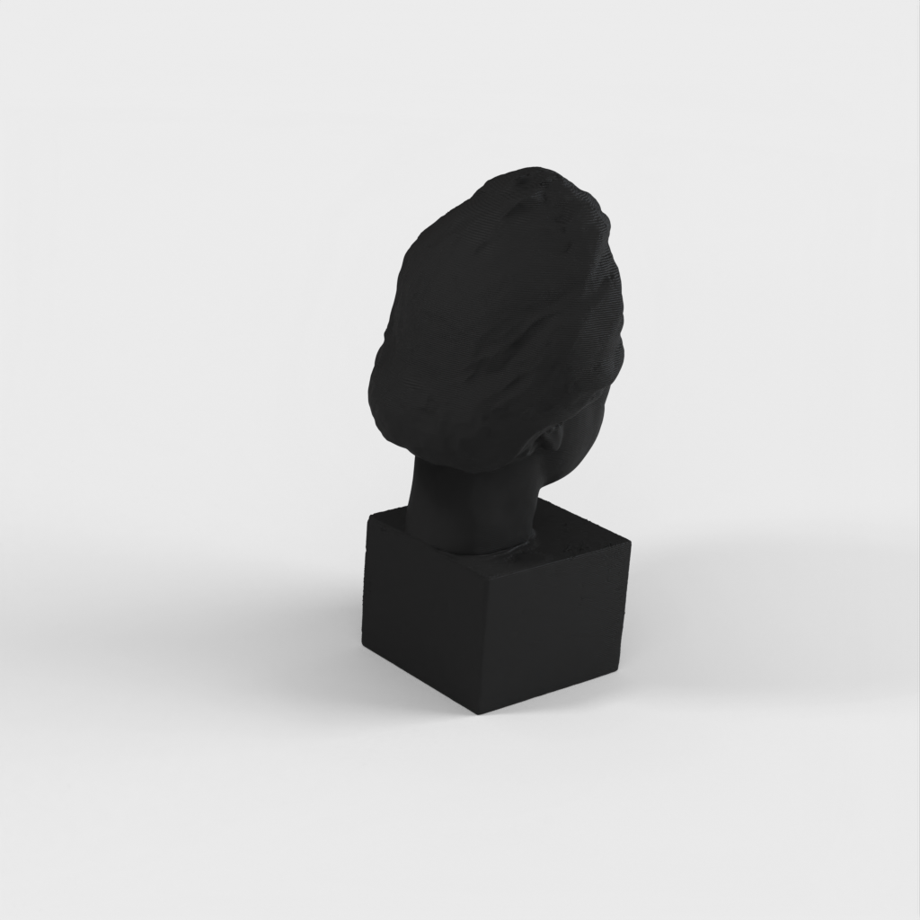 3D sken busty Alberta Einsteina - bronzová socha pro tisk