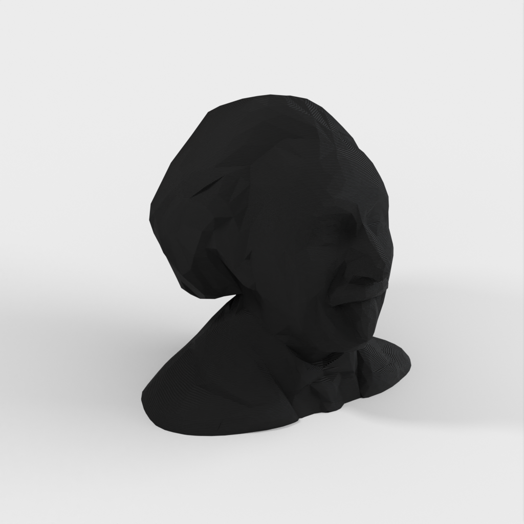 Low Poly Busta/socha Alberta Einsteina