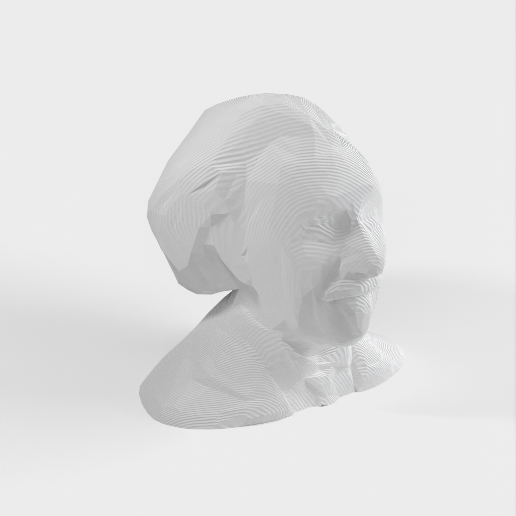 Low Poly Busta/socha Alberta Einsteina