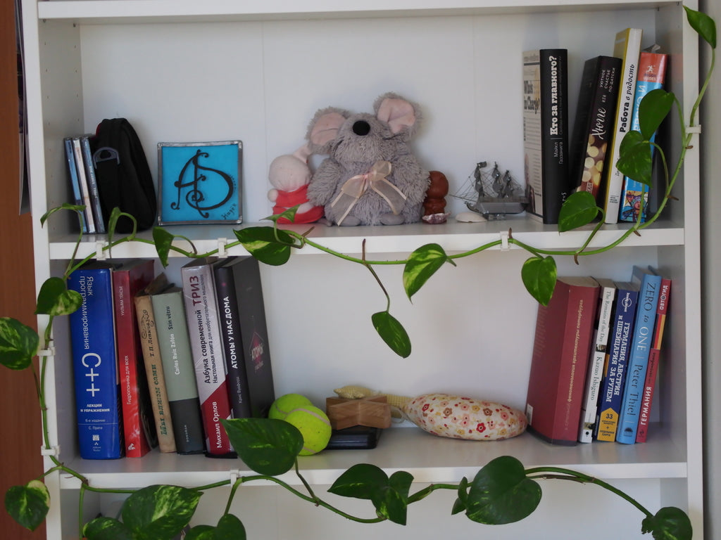 Nástěnný závěs pro rostlinu Ivy na polici Ikea Gersby