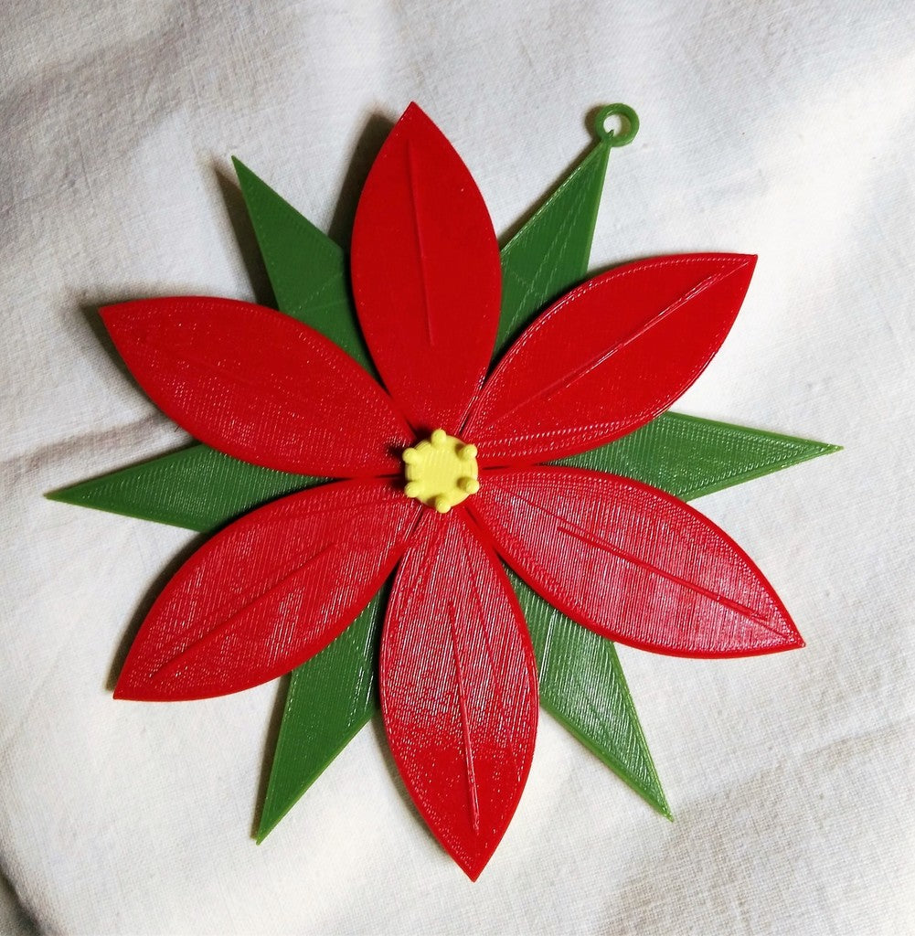 Vánoční rostlina vánoční hvězda pro tříbarevný tisk