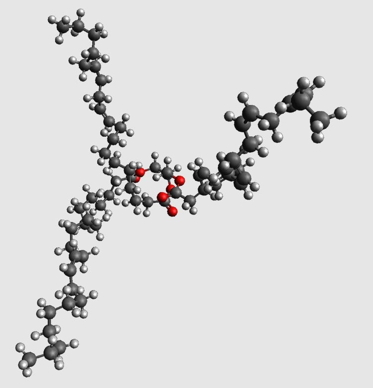 Molekulární model triacylglycerolu v atomárním měřítku